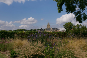 Lutte contre les nuisibles Argenteuil