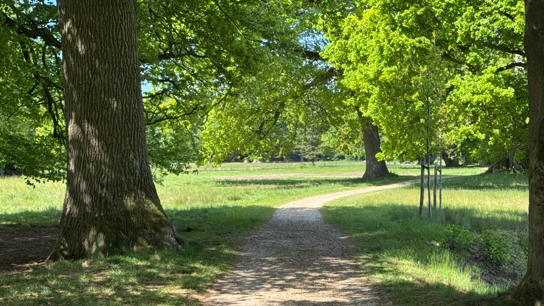 Lutte contre les nuisibles à Argenteuil